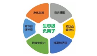 東鵬空氣凈化磚第三方測(cè)評(píng) 真能改善室內(nèi)環(huán)境與市容嗎？